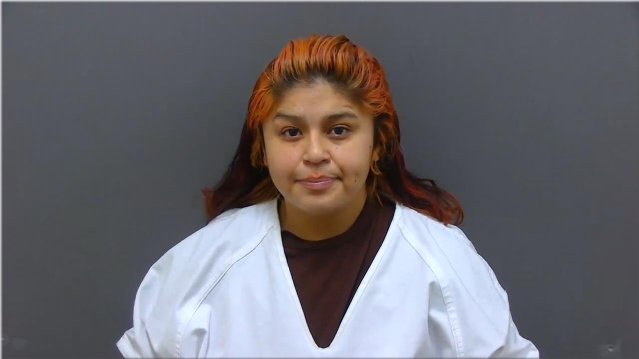 Mugshot of Gonzales, Michael Lee