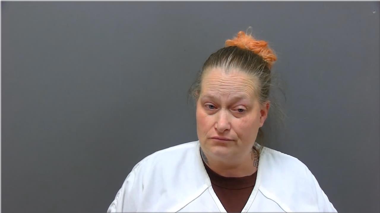Mugshot of Hering, Christine Ann
