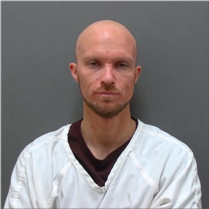 Mugshot of Nelson, Daniel Robert