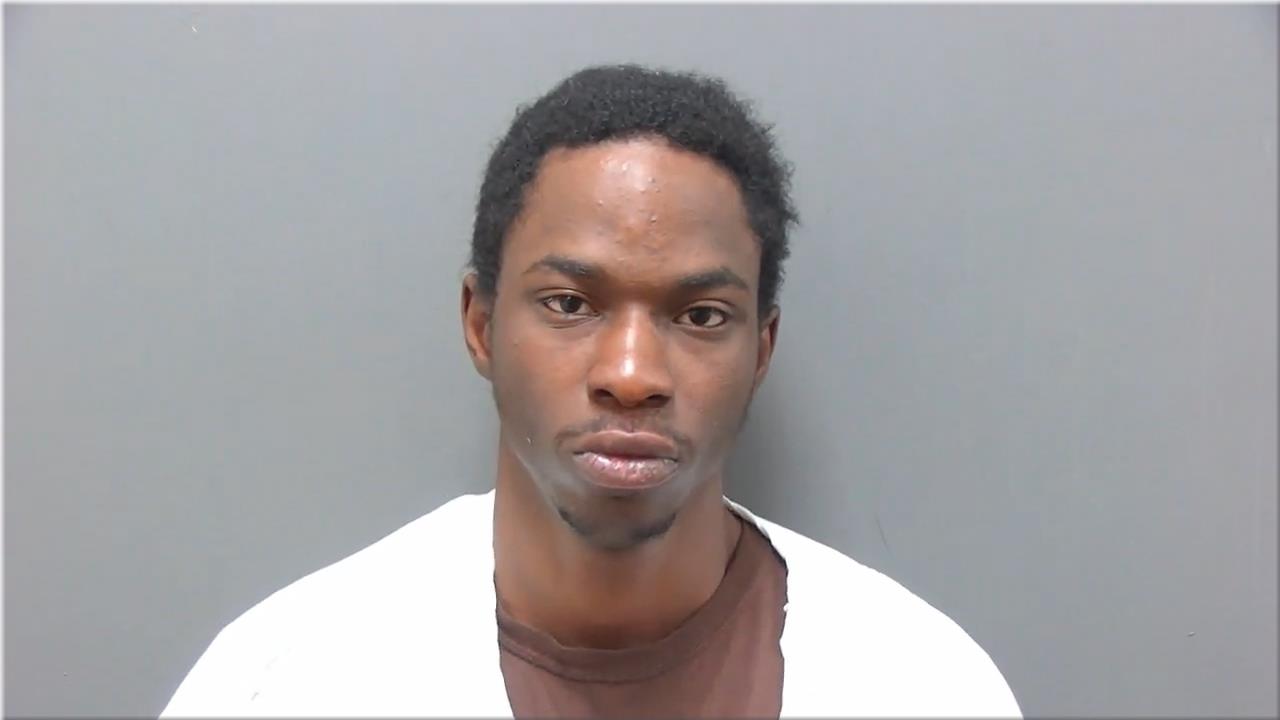 Mugshot of Johnson, Michael Anthony