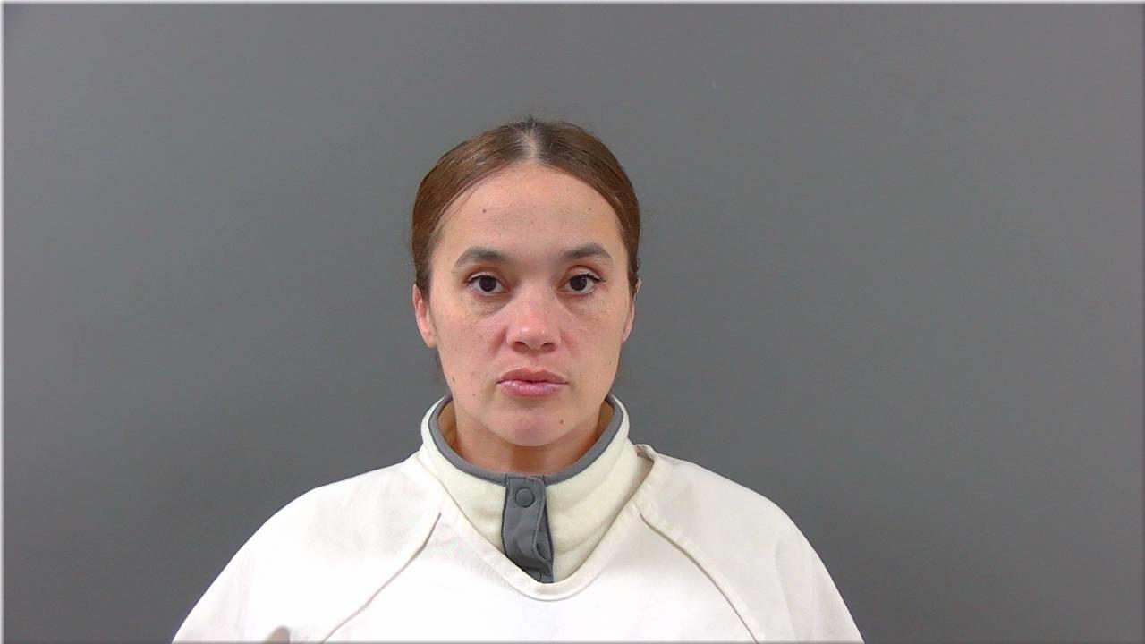 Mugshot of Castro, Connie Lynn