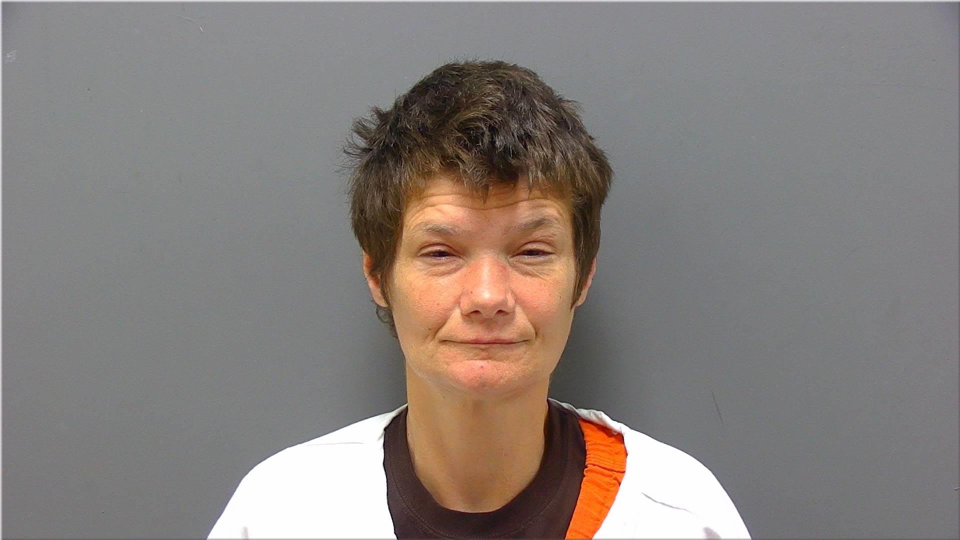 Mugshot of Pierson, Caren L