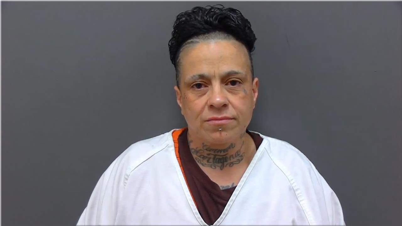 Mugshot of Nieves, Teresa