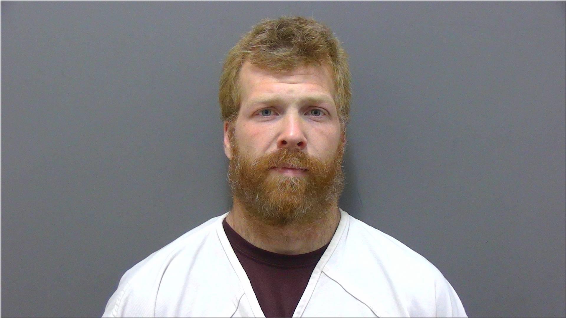 Mugshot of Bronson, Allen D
