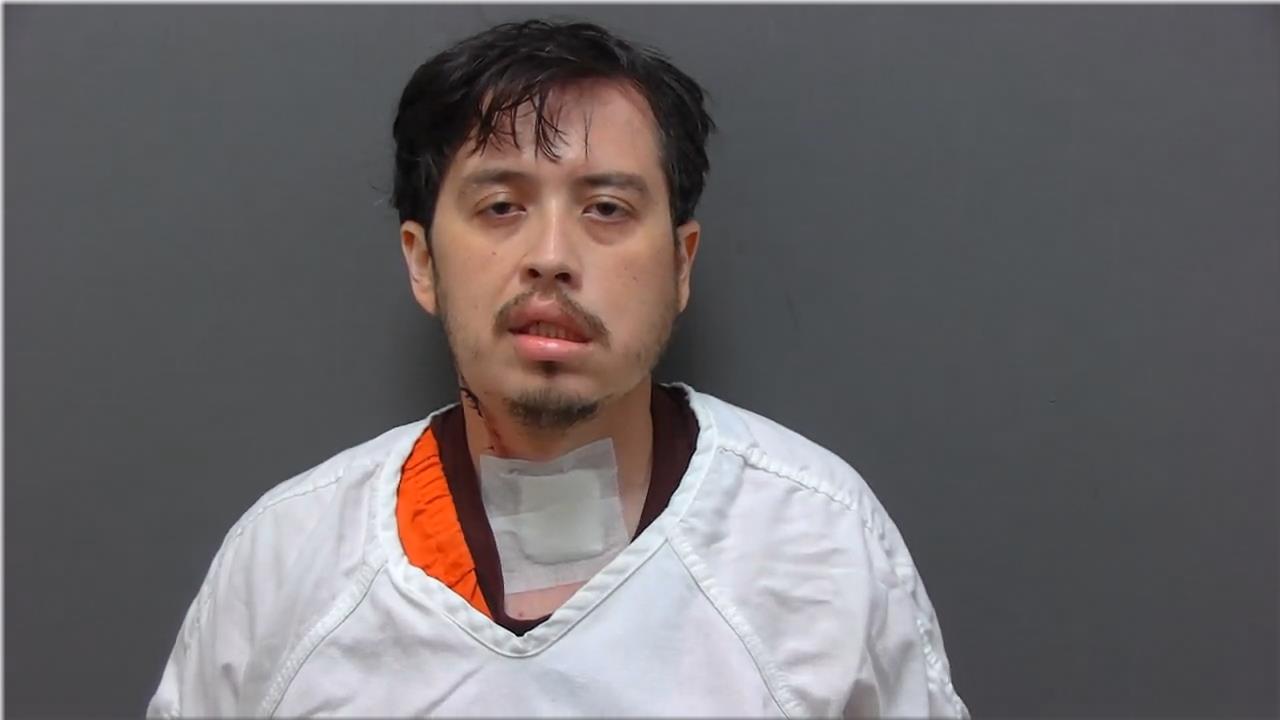 Mugshot of Casas, Andres
