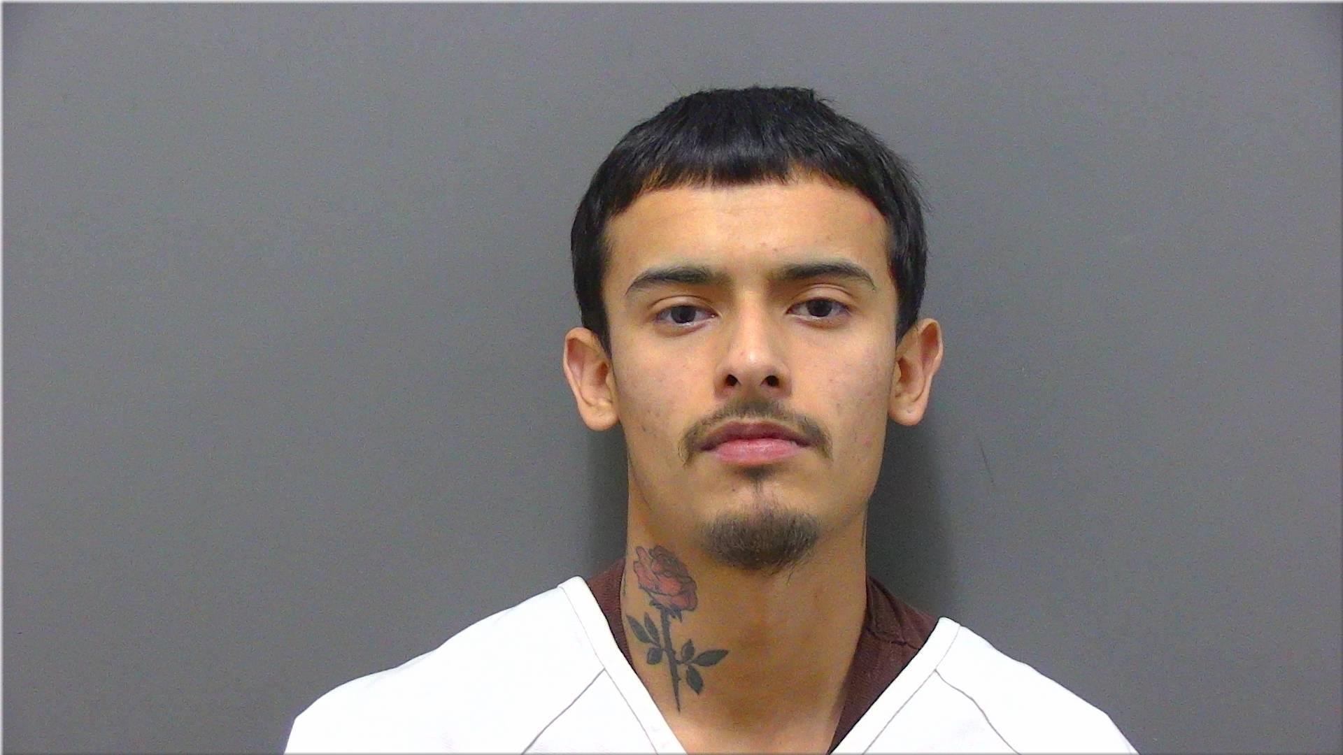 Mugshot of Bruno, David R