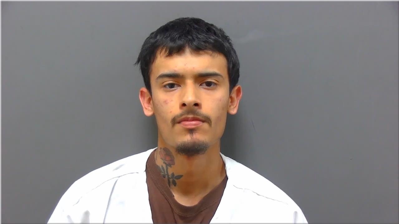 Mugshot of Bruno, David