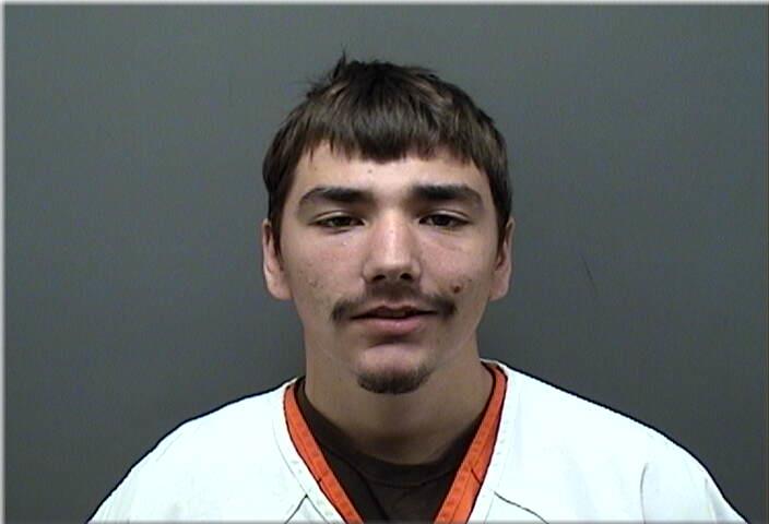 Mugshot of Nelson, Niels C