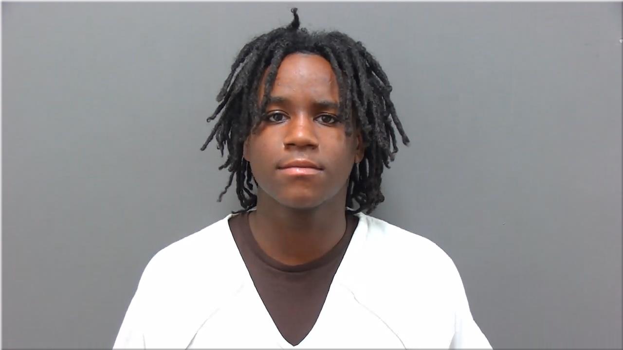 Mugshot of Johnson, Brandon