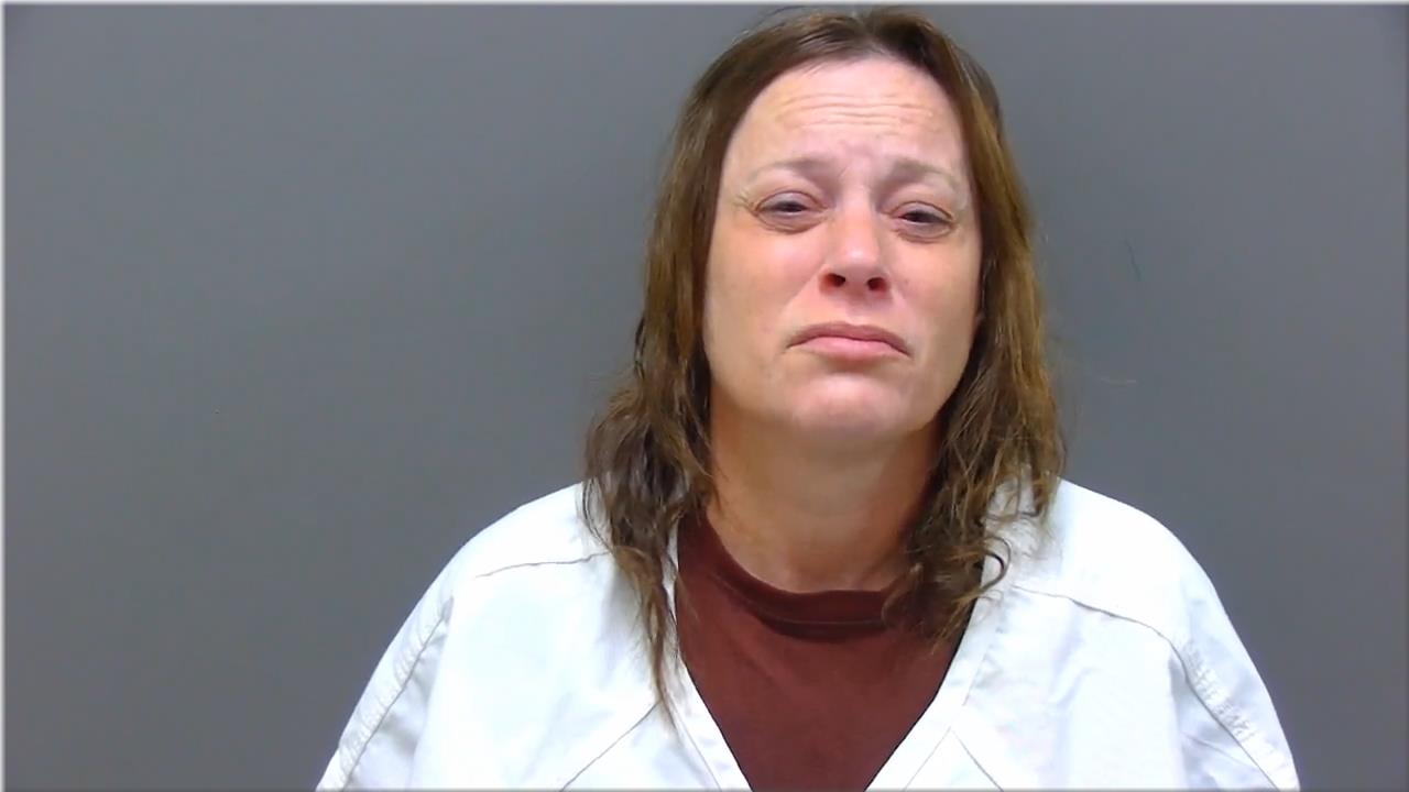 Mugshot of Norton, Tanya Lynn