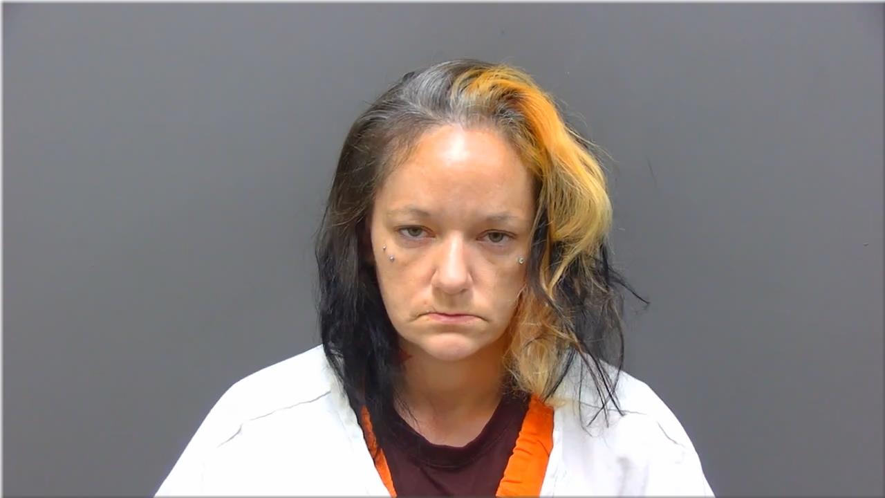Mugshot of Fransen, Brittany Ann