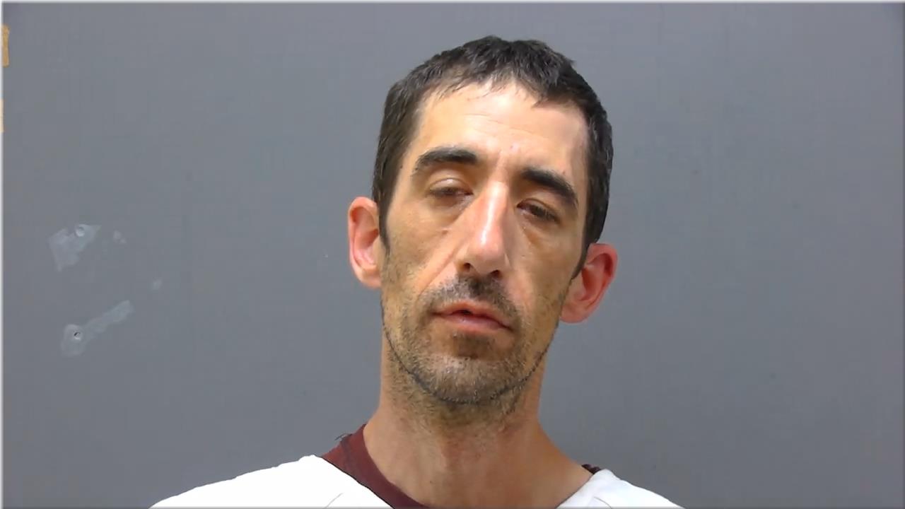 Mugshot of Ludwig, Andrew