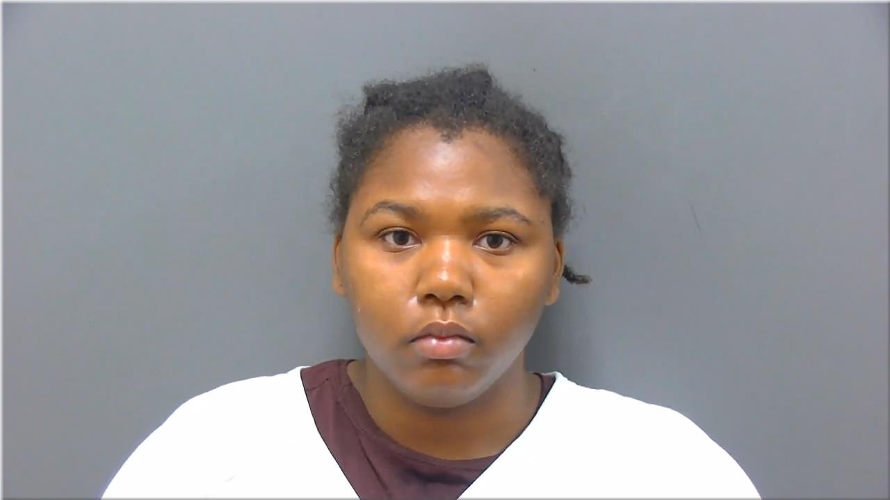 Mugshot of Johnson, Anneliese Lenita