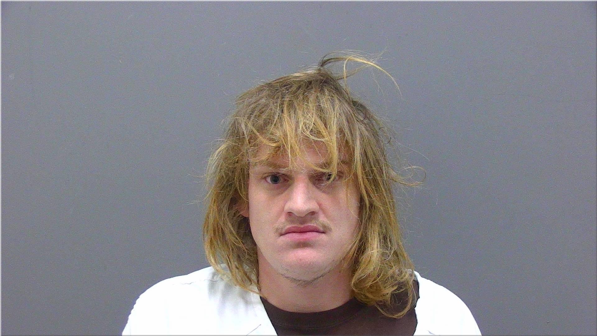 Mugshot of Hauenstein, Drew Alan