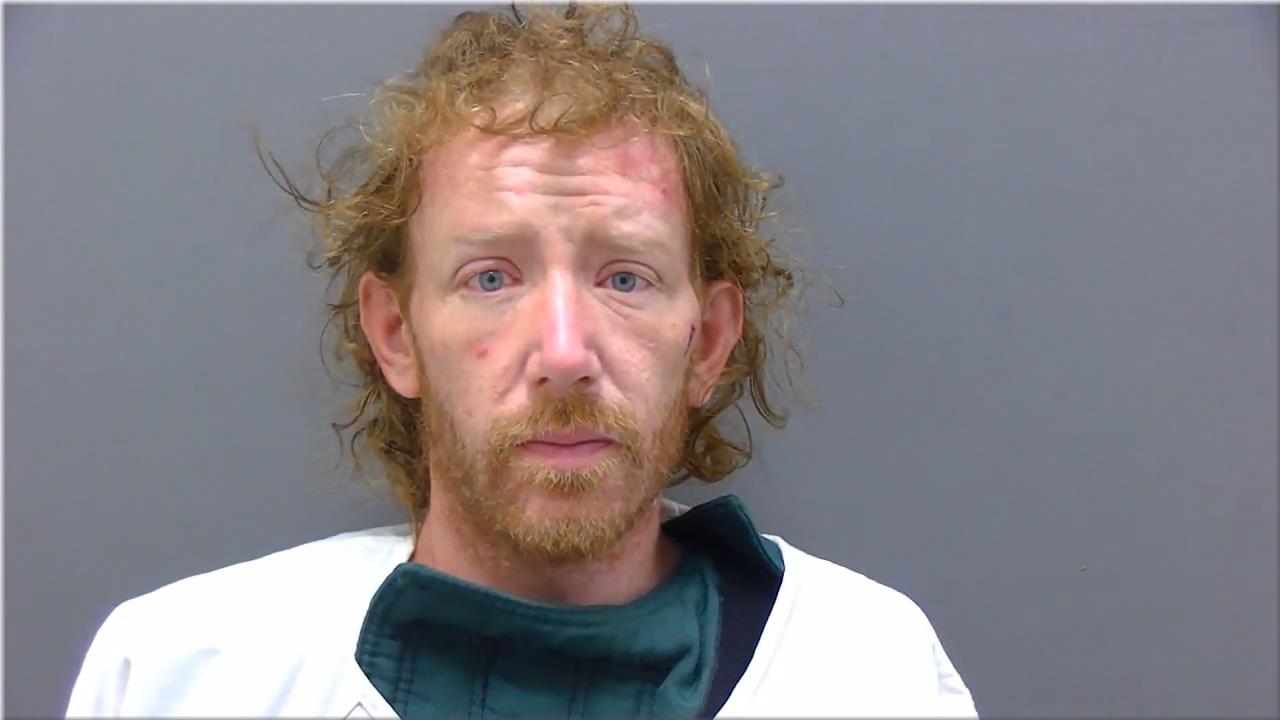 Mugshot of Lein, Brandon