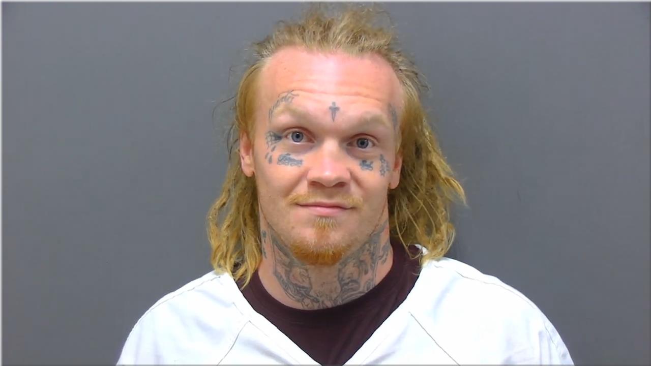 Mugshot of Levitski, Austin