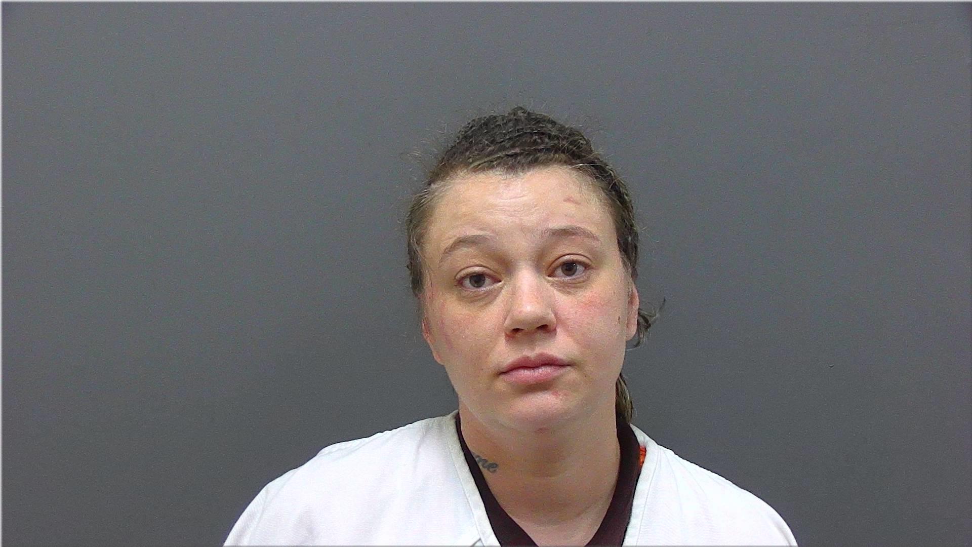 Mugshot of Mitsch, Heidie Kay