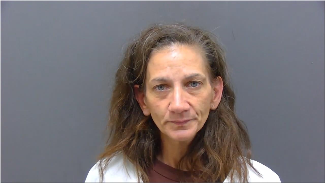 Mugshot of Nelson, Denise Lynn