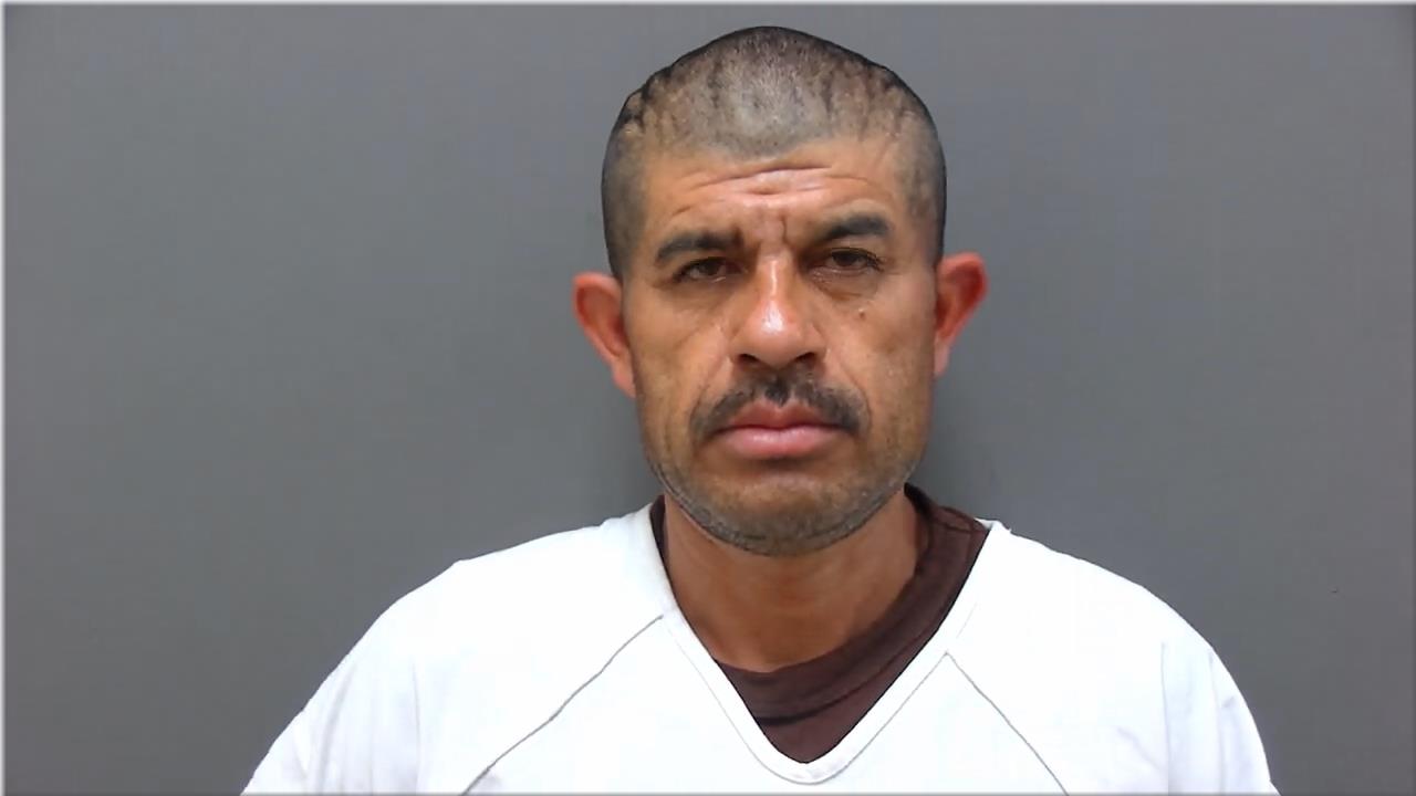 Mugshot of Fernandez Medina, Luis