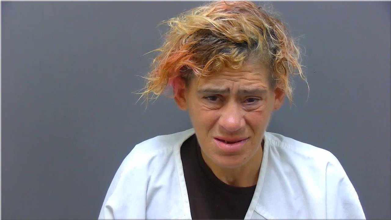 Mugshot of Hernandez, Angeline Megan
