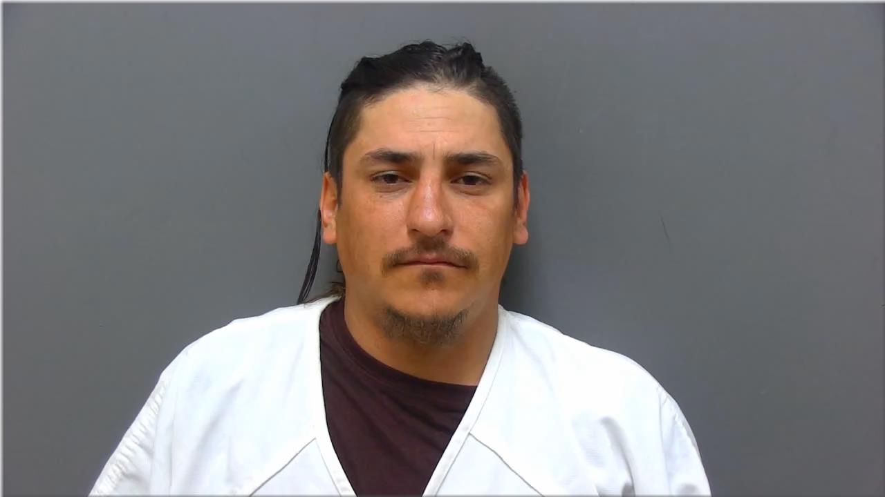 Mugshot of Mejia Luna, Jose