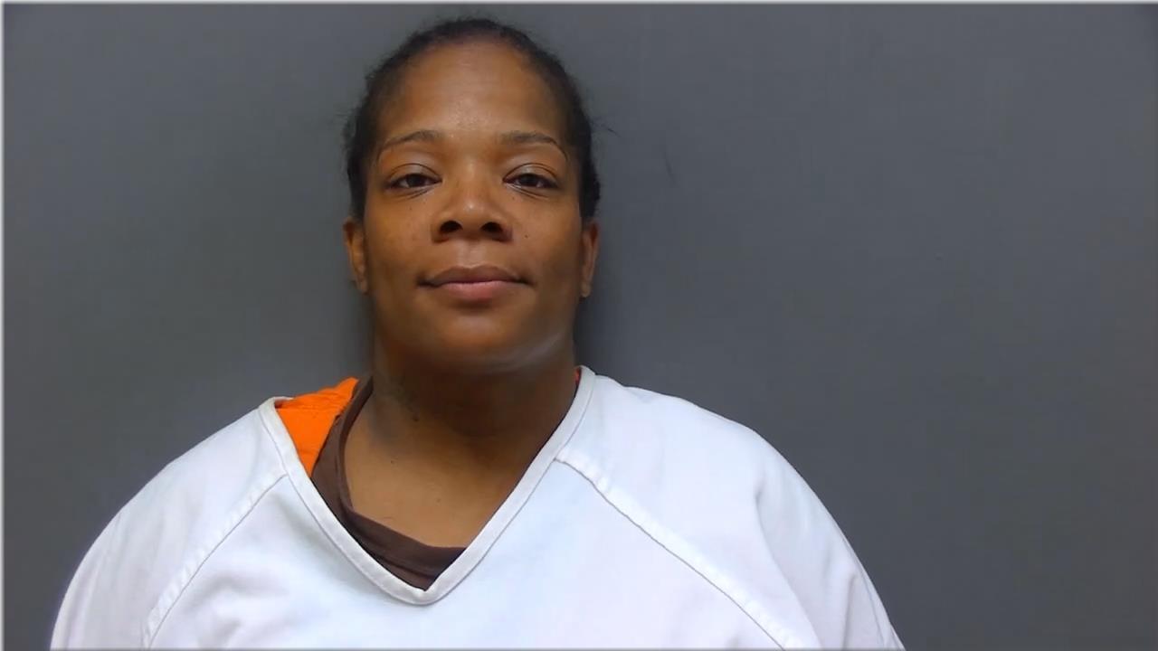 Mugshot of Anderson, Alicia Ann