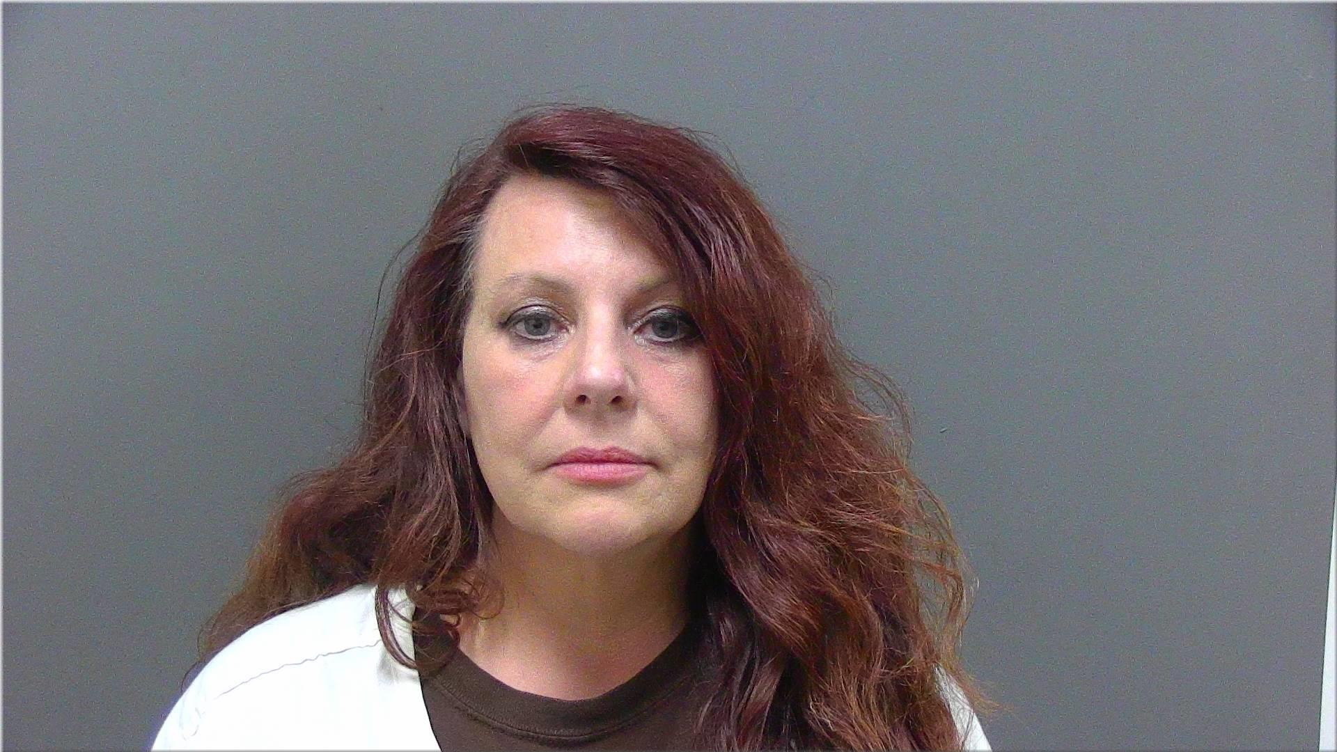 Mugshot of Janke, Shelly Lynn