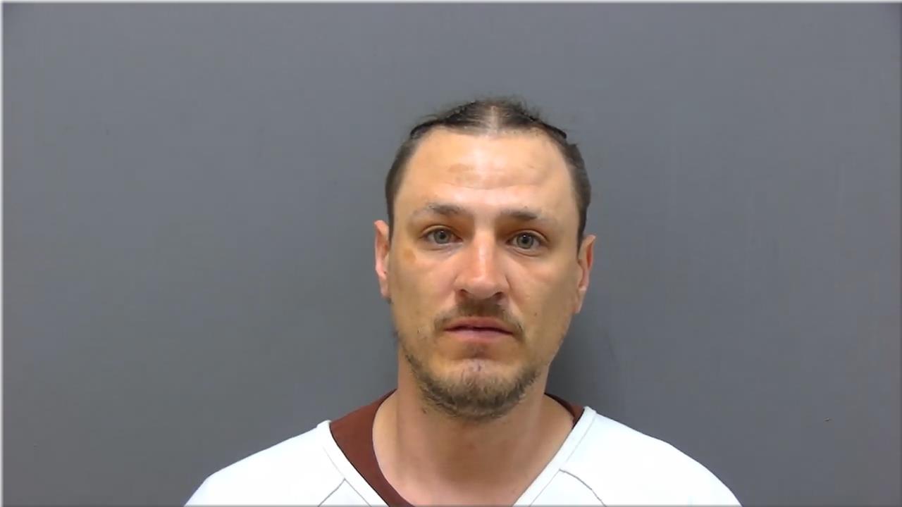 Mugshot of Nelson, Trevor Lund