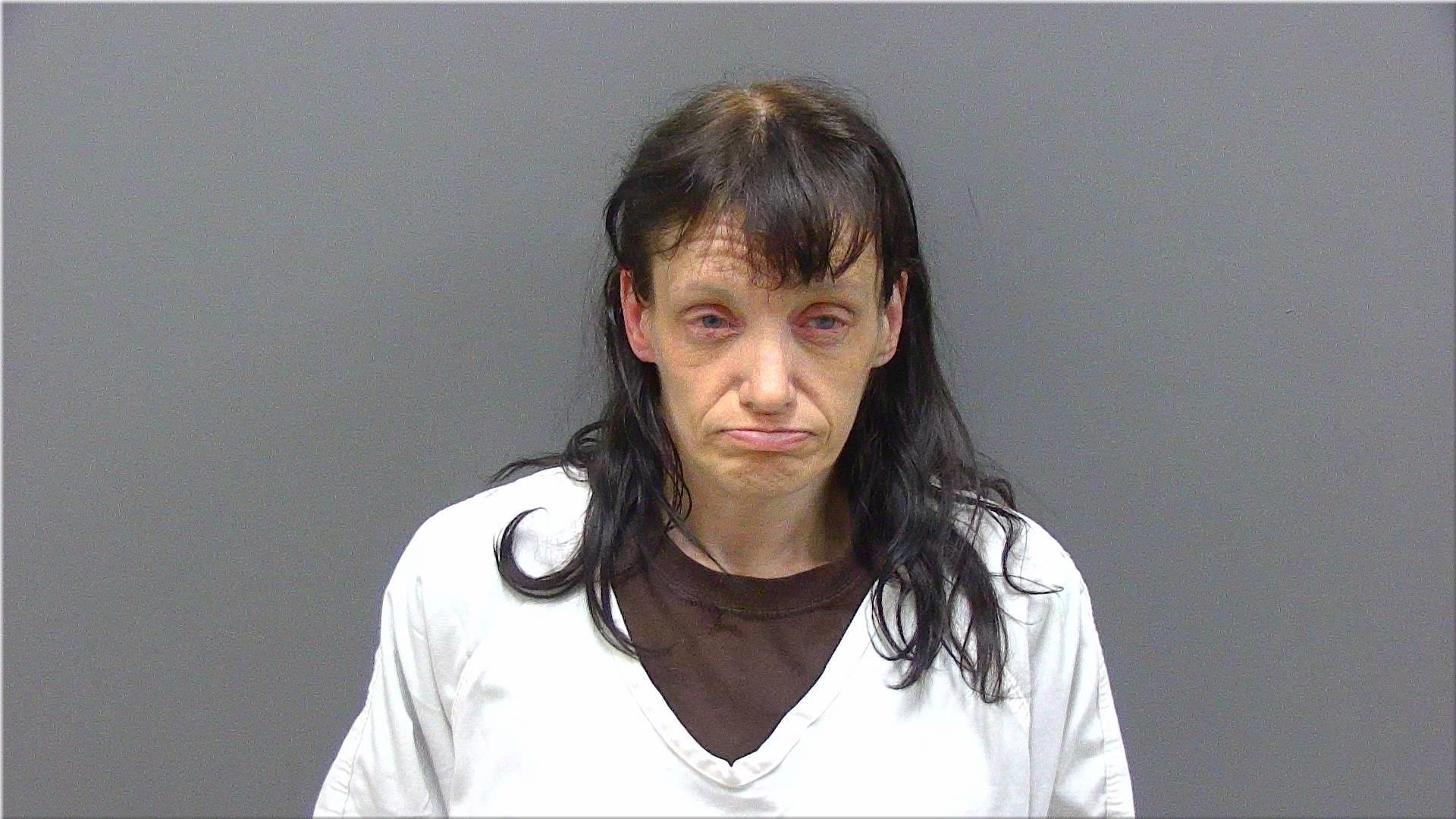 Mugshot of Hollenbeck, Stephanie Lynn